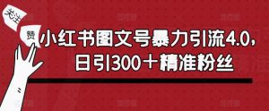 小红书图文号暴力引流4.0，日引300＋精准粉丝【揭秘】-21资源库