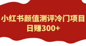 外面1980的项目,小红书颜值测评冷门项目,日赚300+【揭秘】-21资源库