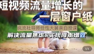 任性大舅·宠物行业短视频运营课(不讲废话)，短视频流量增长的一层窗户纸，解决流量焦虑&实现降本增效-21资源库