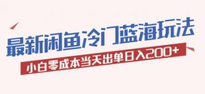 2023最新闲鱼冷门蓝海玩法，小白零成本当天出单日入200+【揭秘】-21资源库