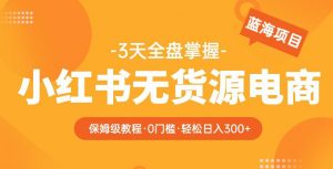 2023【阿本小红书无货源电商训练营】保姆级教程，从0到1，3天全盘掌握，轻松日入300+-21资源库
