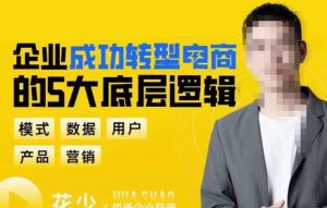 企业成功转型电商的5大底层逻辑，从模式、数据、用户、产品、营销5大板块，助你高效转型电商赛道-21资源库