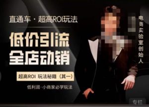 电商冰可乐·直通车·《低价引流·全店动销》，直通车·超高ROI玩法（其一）全店动销必学玩法-21资源库