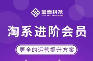 星雪·淘系进阶课程,快速提升突破技能流量瓶颈必备(更新2023年5月)-21资源库