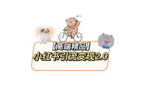 小红书最新引流变现教程,全网最新最详细的视频教程以及素材-21资源库