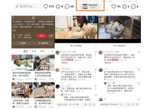 小红书蓝海类赛道：小动物打赏与购买变现副业项目，一条龙玩法分享给你！-21资源库