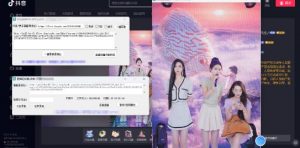 最新电脑版抖音/快手/B站直播源获取+直播间实时录制+直播转播软件【全套软件+详细教程】-21资源库