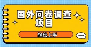 国外问卷调查项目,日入300+,在家赚美金【揭秘】-21资源库