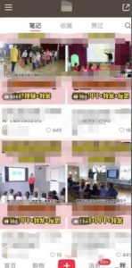 幼儿园公开课项目,虚拟资源变现,一单19.9,单日变现300-21资源库