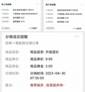 快递代发CPS,月入万元,不起眼却很赚钱的信息差项目【揭秘】-21资源库