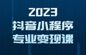 2023年抖音小程序变现保姆级教程,0粉丝新号,无需实名,3天起号,第1条视频就有收入-21资源库