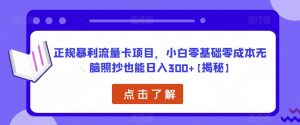 正规暴利流量卡项目,小白零基础零成本无脑照抄也能日入300+【揭秘】-21资源库