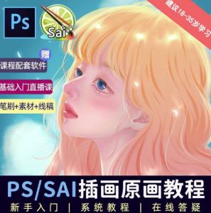 价值1288的原画插画教程零基础CG漫画SAI线稿笔刷手绘画数位板绘视频课程-21资源库