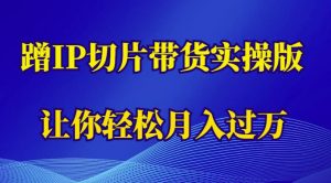 蹭这个IP切片带货实操版,让你轻松月入过万(教程+素材)-21资源库