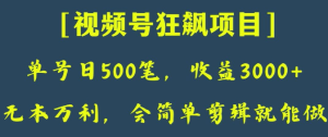 日收款500笔,纯利润3000+,视频号狂飙项目,会简单剪辑就能做【揭秘】-21资源库