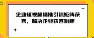 企业短视频精准引流矩阵获客，解决企业获客难题-21资源库