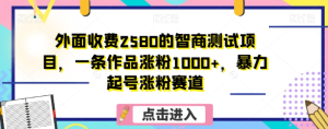 外面收费2580的智商测试项目，一条作品涨粉1000+，暴力起号涨粉赛道【揭秘】-21资源库