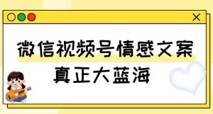 视频号情感文案，真正大蓝海，简单操作，新手小白轻松上手（教程+素材）【揭秘】-21资源库