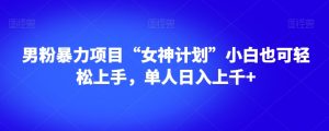 男粉暴力项目“女神计划”小白也可轻松上手,单人日入上千+【揭秘】-21资源库