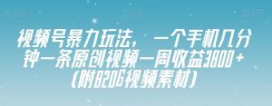 视频号暴力玩法,一个手机几分钟一条原创视频一周收益3800+(附820G视频素材)-21资源库