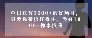 单日获客1000+的好项目，只要你微信扛得住，没有1000+你来找我【揭秘】-21资源库