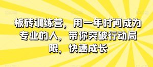 板砖训练营，用一年时间成为专业的人，带你突破行动局限，快速成长-21资源库