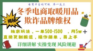 利用电商平台冬季销售取暖用品欺诈行为合理制裁店铺，单日入900+【仅揭秘】-21资源库