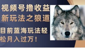 视频号撸收益新玩法之狼道,目前蓝海玩法,轻松月入过万【揭秘】-21资源库