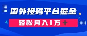 通过国外接码平台掘金：成本1.3，利润10＋，轻松月入1万＋【揭秘】-21资源库