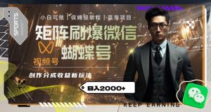 矩阵刷爆微信蝴蝶号创作者分成计划收益的新玩法，日入2000+【揭秘】-21资源库