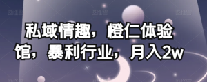 私域情趣,橙仁体验馆,暴利行业,月入2w【揭秘】-21资源库