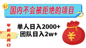 在国内不怕被拒绝的项目,单人日入2000,团队日入20000+【揭秘】-21资源库