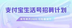 支付宝生活号作者招募计划，单号单月2600，可批量去做，工作室一人一个月轻松1w+【揭秘】-21资源库