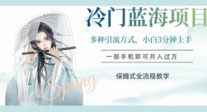 冷门蓝海项目，操作简单，小白3分钟上手，多种引流方式，保姆式全流程教学【揭秘】-21资源库