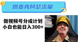 蹭麦克阿瑟热点，做视频号分成计划，小白三分钟一条日入300+【揭秘】-21资源库