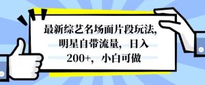 最新综艺名场面片段玩法，明星自带流量，日入200+，小白可做【揭秘】-21资源库