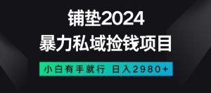 暴力私域捡钱项目，小白无脑操作，日入2980【揭秘】-21资源库