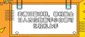 卖莆田篮球鞋,暴利掘金日入四位数新手小白都可以轻松上手【揭秘】-21资源库
