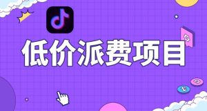 抖音低价派单项目,0门槛,日入1000+很轻松,小白可操作【揭秘】-21资源库
