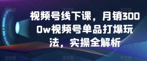 视频号线下课，月销3000w视频号单品打爆玩法，实操全解析-21资源库