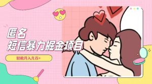 全网首发，揭秘超冷门匿名短信项目，通过信息差日入几百+【揭秘】-21资源库