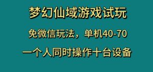 梦幻仙域游戏试玩,免微信玩法,单机40-70,一个人同时操作十台设备【揭秘】-21资源库
