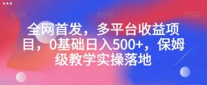 全网首发，多平台收益项目，0基础日入500+，保姆级教学实操落地【揭秘】-21资源库