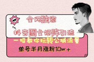 全网独家抖音图文矩阵引流，一招教你玩转公域流量，单号半月涨粉10w+【揭秘】-21资源库