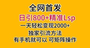 全网首发！日引800+精准老色批，一天变现2000+，独家引流方法，可矩阵操作【揭秘】-21资源库