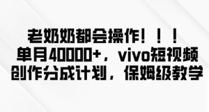 老奶奶都会操作，新平台无脑操作，单月40000+，vivo短视频创作分成计划【揭秘】-21资源库
