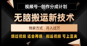 视频号无脑搬运新技术，破原创壕流量，独家方式，爆过视频，还会再爆【揭秘】-21资源库