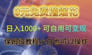 0元免费撸烟花日入1000+可自用可变现保姆级教程小白也可以操作【仅揭秘】-21资源库