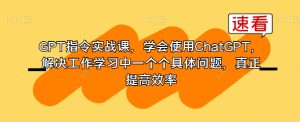 GPT指令实战课，学会使用ChatGPT，解决工作学习中一个个具体问题，真正提高效率-21资源库