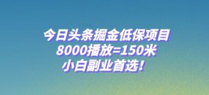 今日头条掘金低保项目,8000播放=150米,小白副业首选【揭秘】-21资源库